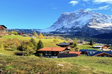 2024��2��27���к�����ȱʲô