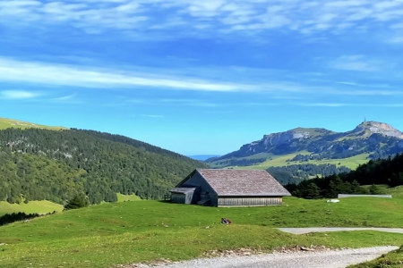 2024��2��28���к�����ȱʲô