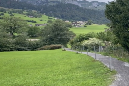 Ԣ��õ���������242��