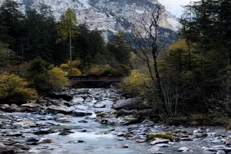 4����ʫ�������˵���Ϸ����