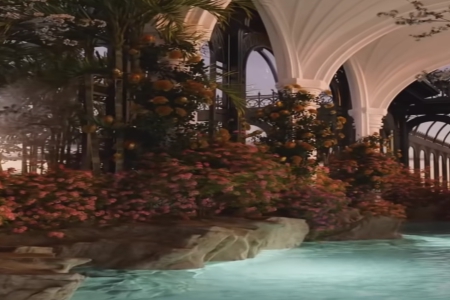 �ոʴ��100�ֵ�����