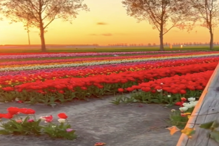 2025��2��25���к�����ȱʲô