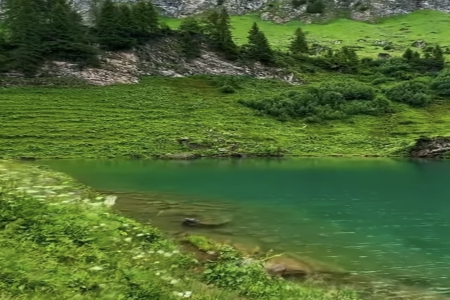 2025��5��3���к�����ȱʲô