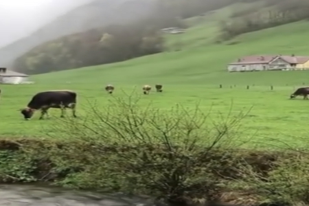 小孩小名大全洋气点的女孩