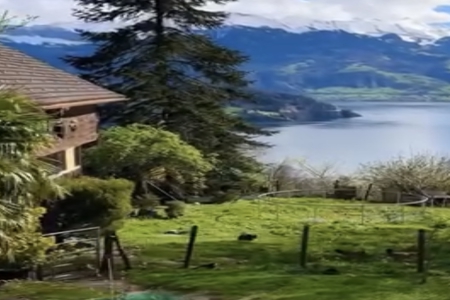 ���·�����б�������