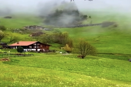 一叫就会笑的小名