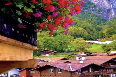 �����к�����������253��