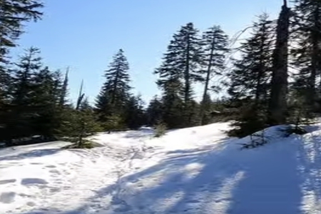 六月出生的男孩叫什么名字好