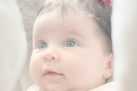 2025������������Ҫ�����ֹ�