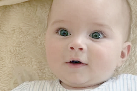 ����һ�����к�����