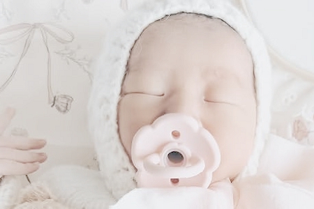 2025���б���������ȫ�ο�