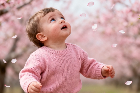 ���������ͺ��˵�С��