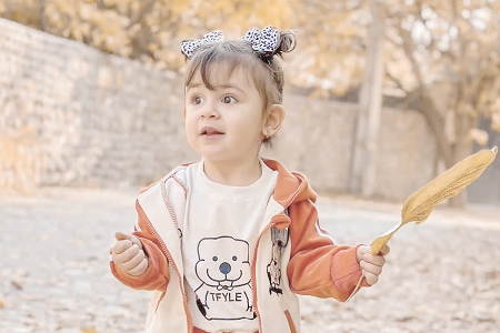 2026��2��5���к�����ȱʲô