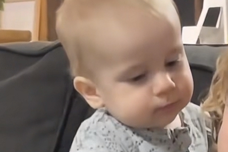 2026�����к�ˮľ�ĺ�����