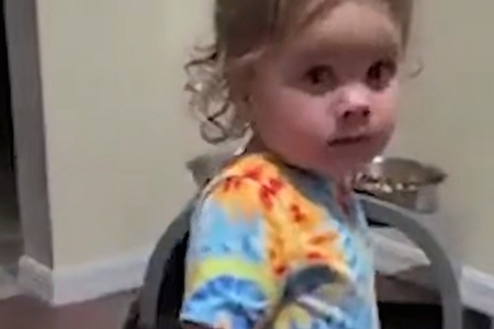 2026��2��7���к�����ȱʲô