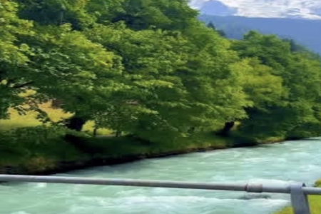 2026��2��8���к�����ȱʲô