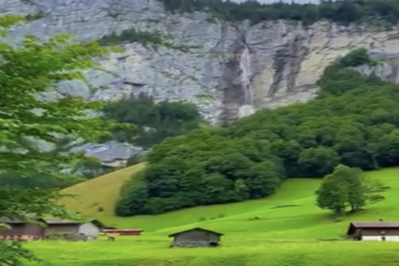 2026��2��17���к�����ȱʲô