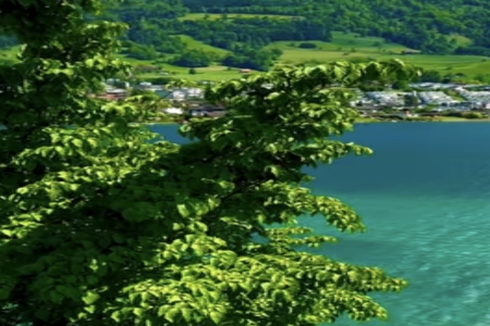 2026��2��24���к�����ȱʲô