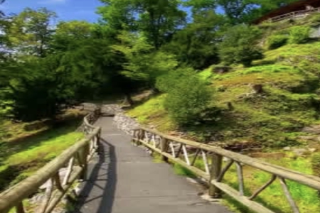 2026��3��5���к�����ȱʲô