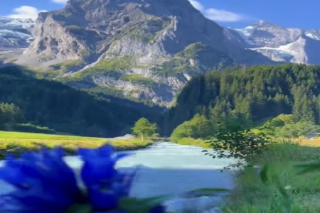 2026��3��14���к�����ȱʲô