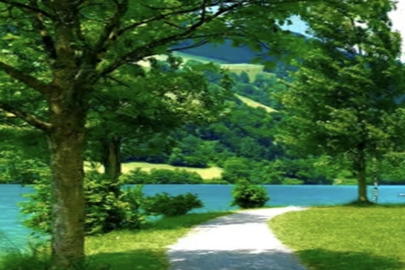 2026��3��15���к�����ȱʲô