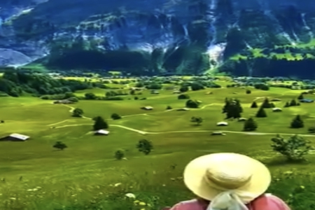 2026���б���������Ԣ���