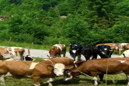 2026��3��23���к�����ȱʲô