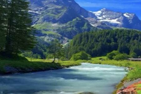 ���ж���ʲô���Ķ��ձ�