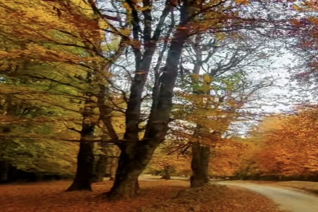 2024��2��1���к�����ȱʲô