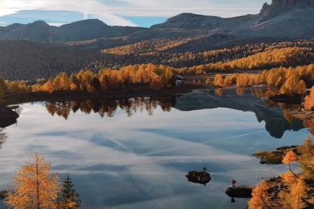 ��ֽ�β���к�����303��