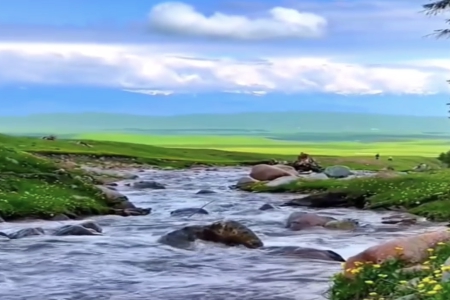 �����ֵ��к�����388��