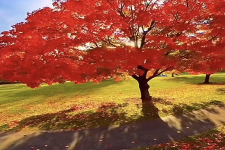 2024年2月2日男孩五行缺什么