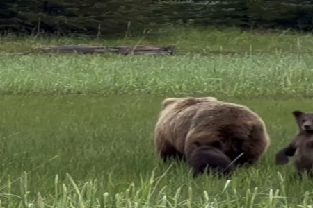 缺木火的男孩名字