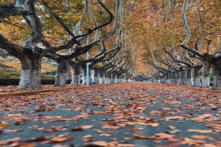 Ů��ȱ��ȱˮȡ��