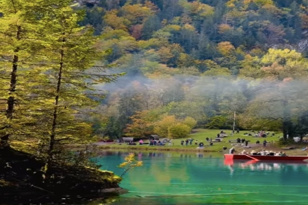 �������к�������102��