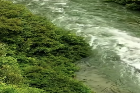 ȱˮȱľµÄÅ®º¢Ãû×Ö