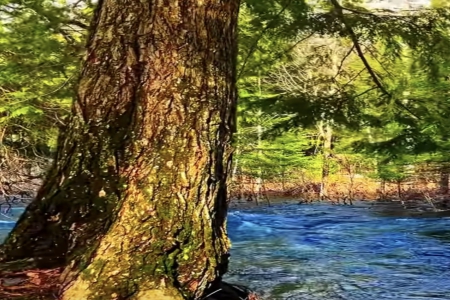 姓赵好听的男孩名字299个